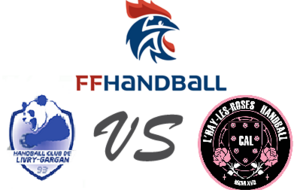 SENIOR MASCULIN 1 se déplace chez HBC LIVRY-GARGAN 1B