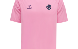 TEE SHIRT ENTRAINEMENT HUMMEL HOMME ROSE : REF - 211943